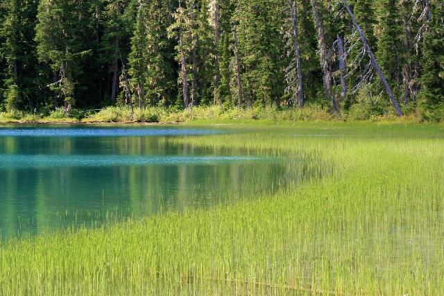 Joffre Lake