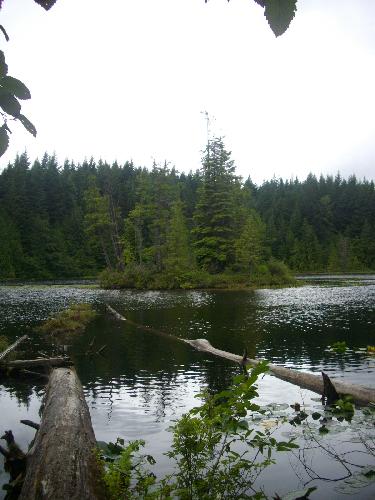 Stump Lake Trail