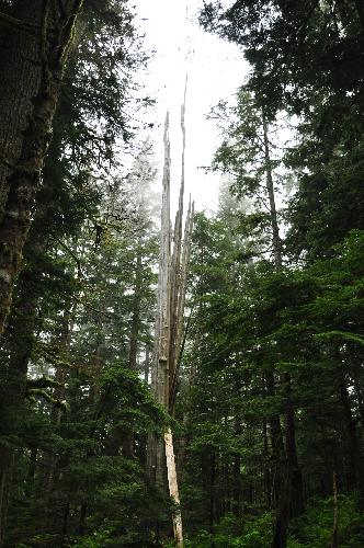 Brothers Creek Trail