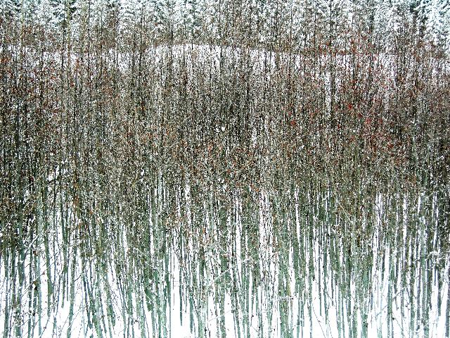 Green Lake Trail