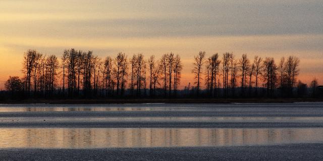 Pitt River Wildlife Loop