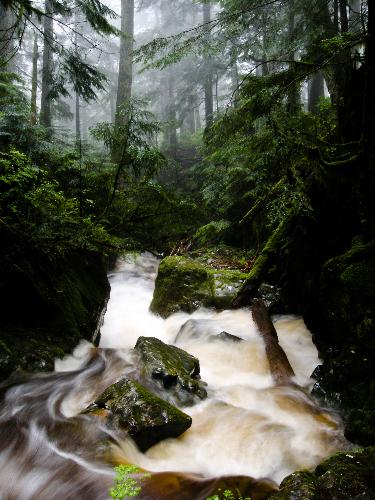 Brothers Creek Trail