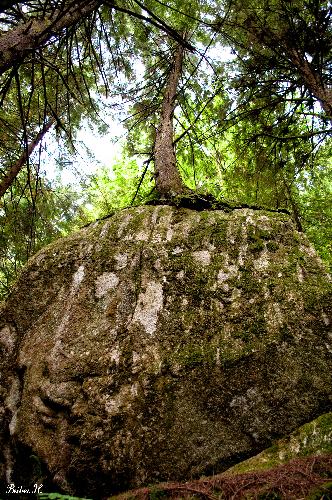 Widgeon Falls