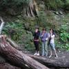 Garibaldi Lake Trail