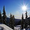 Mt Seymour main trail