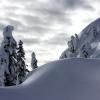 Mt Seymour