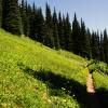 Bask Tusk Meadows