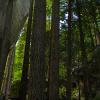 Bouldering Area of The Stawamus Chief