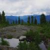 Hollyburn Mountain Trail