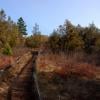 Scout Island Trail