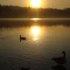 Burnaby Lake