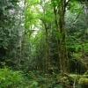 Buntzen Lake Trail