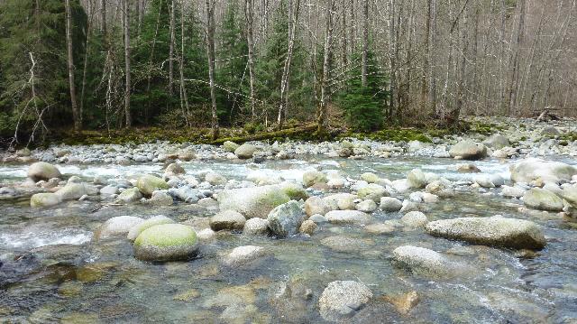 Lynn Canyon