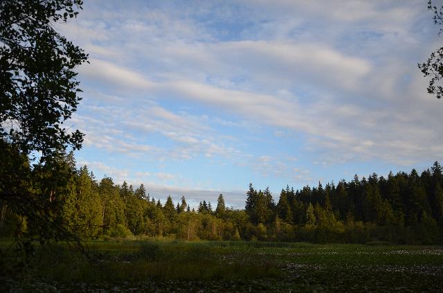 Lost Lagoon