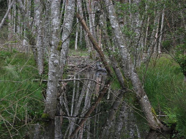 Killarney Lake Trail