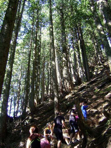 Grouse Grind