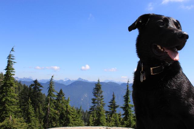 Mount Seymour