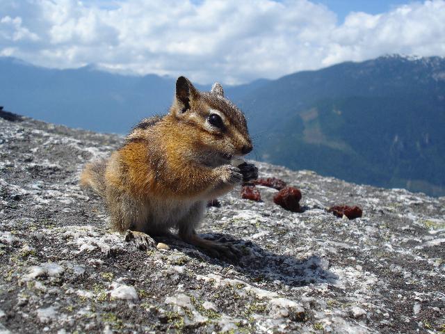 Stawamus Chief