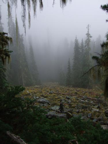 Wedgemount Lake Trail