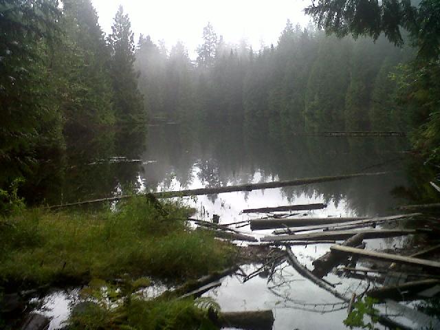 Mundy Lake - Old Logging Trail