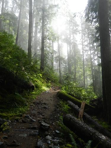 Garibaldi Lake Trail