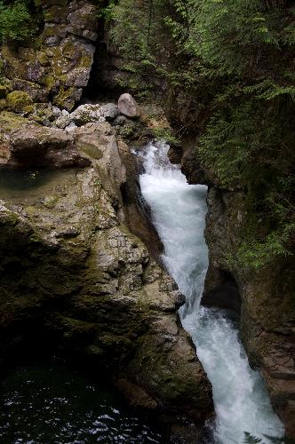 Lynn Canyon