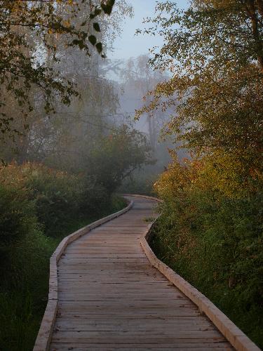 Deer Lake Trail