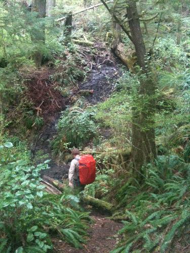 Juan De Fuca Marine Trail