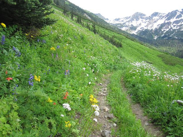 Melvin-Haylmore Divide (Twin Lakes)