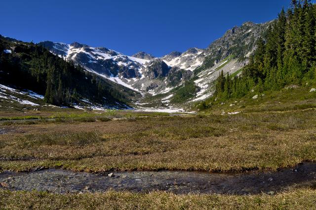 Brandywine Meadows