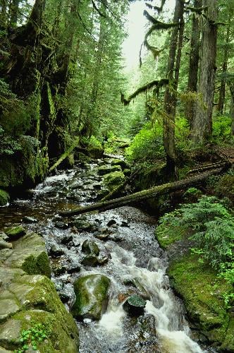 Brothers Creek Loop