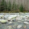 Lynn Canyon