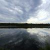 Burnaby Lake