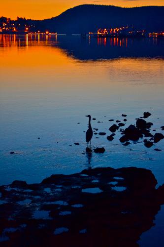 Shoreline Trail