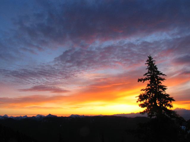 Mt Seymour Trail