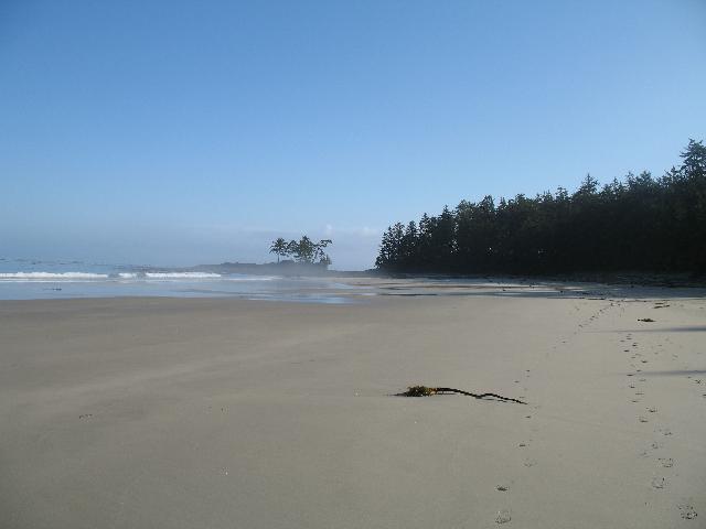 Cape Scott