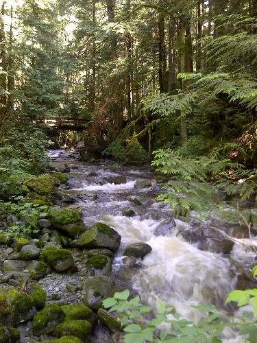 Cypress Falls