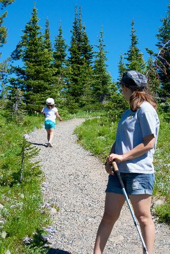 Alpine Meadows