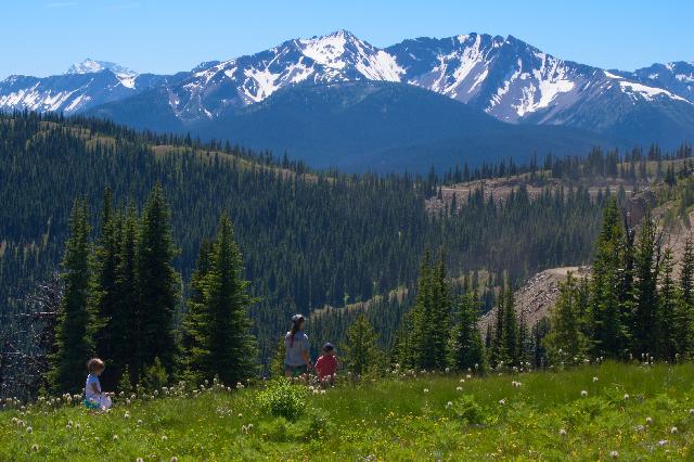 Paintbrush Trail