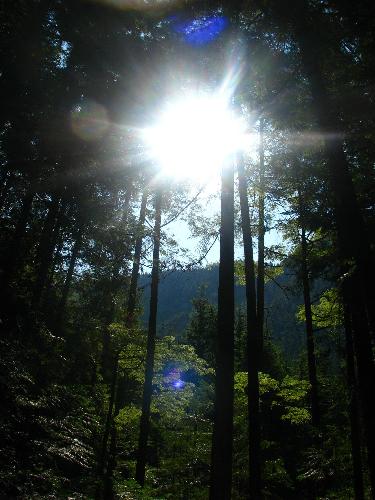 Stawamus Chief