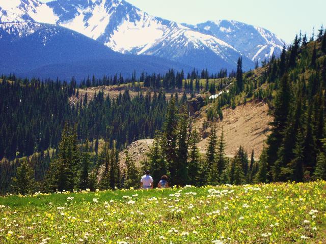 Manning Park Look Out