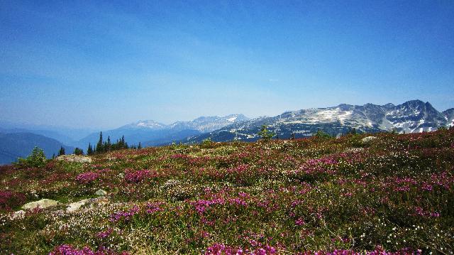 Blackcomb Peak A