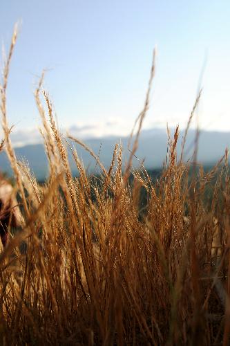 Little Mountain, Parksville BC