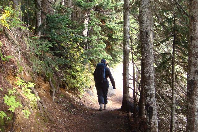 Garibaldi Lake Trail