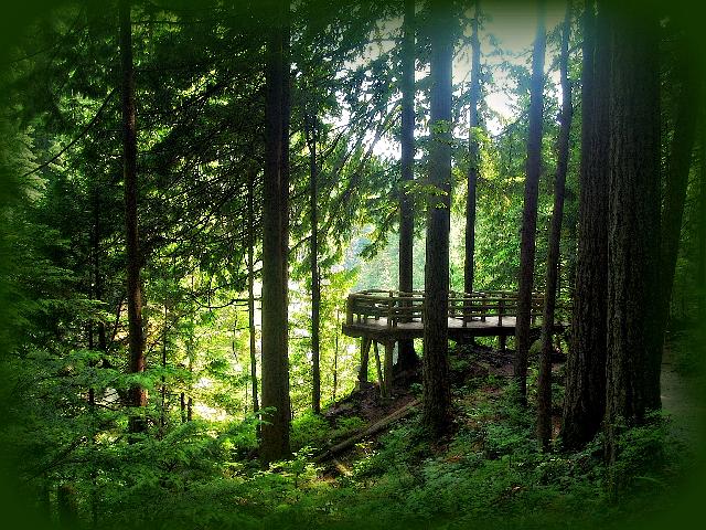 Capilano River Loop Trail