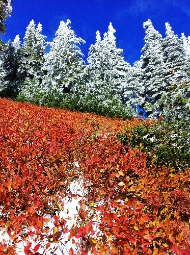 Mount Cheam