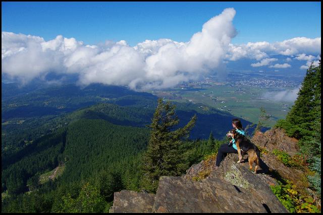 Elk Thurston Trail