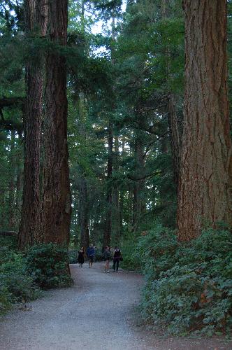 Main Trial To Lighthouse Park West Vancouver