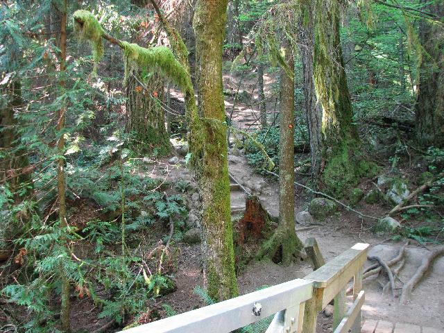 Baden Powell Trail, Deep Cove