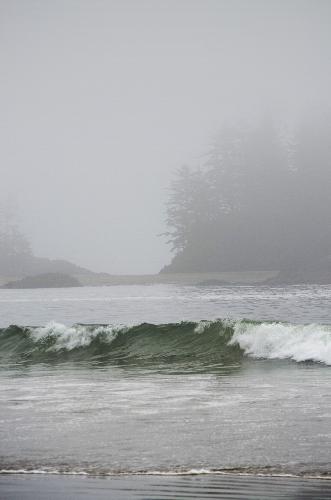 Schooner Cove Trail